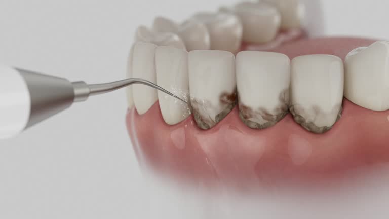 Reliable Dental contractor in DeLand, FL by Dentist Open Now